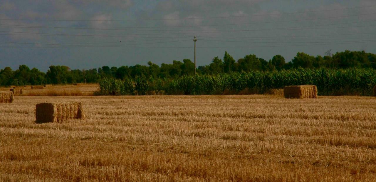 Il Silos Maccarese Luaran gambar